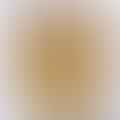 chicken broth