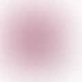 red onion