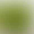 green peas
