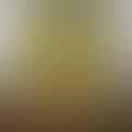 Yellow Split Peas